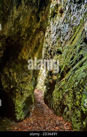 D'anciennes ouvertures de l'exploitation du plomb sur une veine appelée Hard Rake, au sommet de High Tor dans Matlock Bath, plus tard ouvert comme une grotte appelée Roman Cave. Banque D'Images