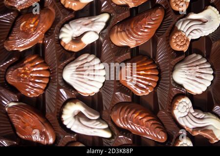 Rangée de pralines de chocolat de variété. Vue de dessus. Banque D'Images