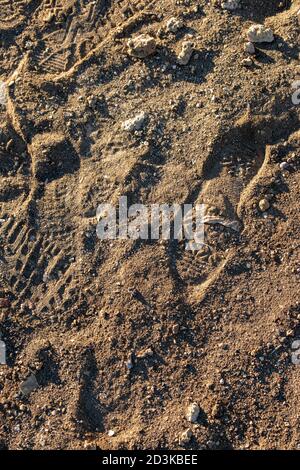 Texture de sable et de pierres dans laquelle sont une empreinte des chaussures de personnes avec des ombres dures. Banque D'Images