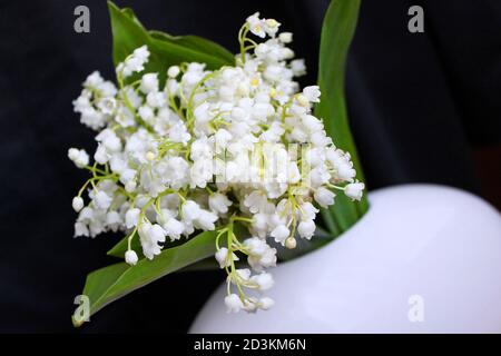 Lily of the valley Banque D'Images