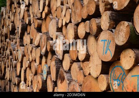 Pile de bois à la chaîne de montagnes basse de Harz Banque D'Images