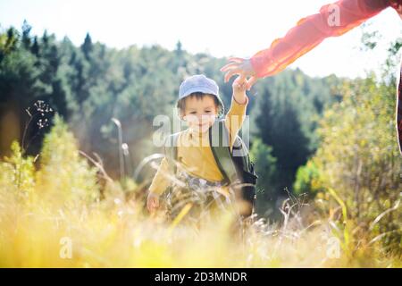 Petit enfant en chandail jaune marchant avec la mère dans la forêt d'automne. L'enfance avec la nature aimant concept Banque D'Images