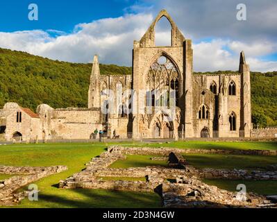 Abbaye de Tintern, Monbucshire, pays de Galles, Royaume-Uni. L'abbaye cistercienne tomba en ruine après la dissolution des monastères sous le règne du roi Banque D'Images