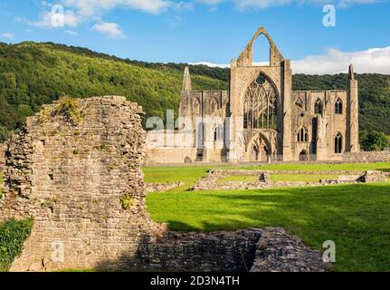 Abbaye de Tintern, Monbucshire, pays de Galles, Royaume-Uni. L'abbaye cistercienne tomba en ruine après la dissolution des monastères sous le règne du roi Banque D'Images