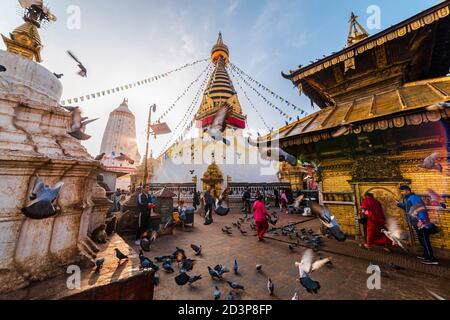 Vue panoramique sur le Saint Swayambhunath Stupa tôt le matin. Les gens offrent des prières, des pigeons qui volent au lever du soleil. Site du patrimoine mondial. Banque D'Images