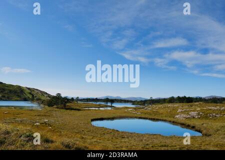 En regardant vers le nord en direction de Lough Cloonee sur la péninsule de Beara, Comté de Kerry, Irlande - John Gollop Banque D'Images