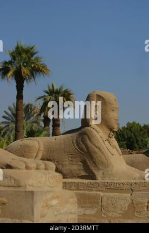 Une statue sur l'avenue des sphinx ayant la tête humaine Dans la zone du temple de Louxor Banque D'Images