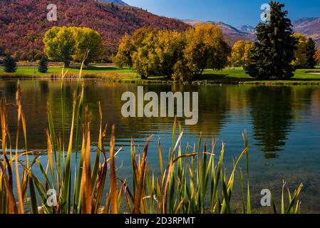 Un étang calme et immobile reflétant les couleurs de l'automne. Wasatch Mtn. State Park est célèbre pour son écran couleur d'automne et son magnifique parcours de golf. Banque D'Images