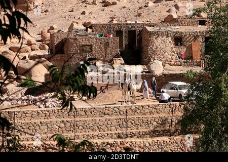 Une maison arabe en pierre dans le désert du Sinaï. Dans la cour deux chameaux une voiture et des gens Banque D'Images