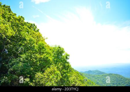 J'ai pris cela au parc national de Caesar's Head en Caroline du Sud. C'est un parc magnifique avec une variété d'endroits pour prendre des photos. Banque D'Images