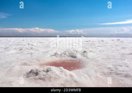 Flaque d'eau rose sur la côte du lac salé avec du sel blanc et du ciel bleu. Syvash ou Sivash mer spa loisirs été temps ensoleillé, la mer putride ou la mer de Rotten Banque D'Images