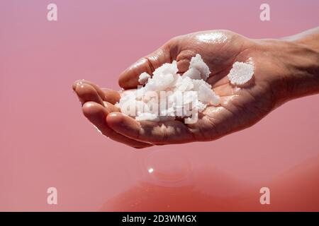 Main tenant un bouquet de cristaux de sel blanc rose au-dessus de la surface d'eau de lac rose vibrante. Station thermale ensoleillée en gros plan Banque D'Images