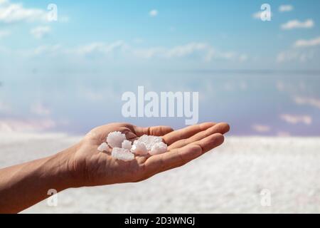 Main tenant un bouquet de cristaux de flocons de sel blanc rose avec lac salé rose et fond bleu ciel. Station thermale ensoleillée en gros plan Banque D'Images