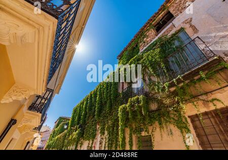 Rue Almansa avec façade couverte de lierre et étoile au soleil Banque D'Images