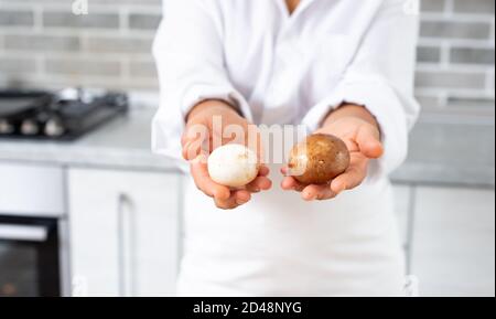 Vue des mains du chef montrant des champignons de différentes nuances. Banque D'Images