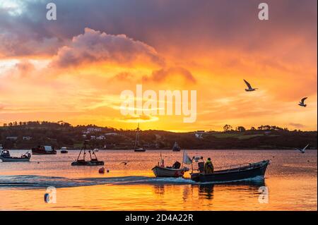 Schull, West Cork, Irlande. 9 octobre 2020. Un pêcheur pilote son bateau pour un voyage pour tirer ses pots de crabe dans Schull Harbour alors que le soleil se lève sur l'eau. Crédit : AG News/Alay Live News Banque D'Images