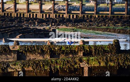 Brighton Royaume-Uni 9 octobre 2020 - les amateurs de Shoreham Rowing Club emballez leurs bateaux après avoir profité d'une belle matinée ensoleillée et calme au port de Shoreham près de Brighton . : crédit Simon Dack / Alamy Live News Banque D'Images