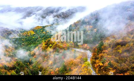 Shennongjia, Chine. 05e octobre 2020. La beauté de la forêt de Shennongjia en automne à Shennongjia, Hubei, Chine, le 05 octobre 2020.(photo de TPG/cnschotos) crédit: TopPhoto/Alamy Live News Banque D'Images