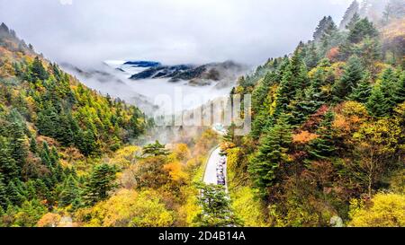 Shennongjia, Chine. 05e octobre 2020. La beauté de la forêt de Shennongjia en automne à Shennongjia, Hubei, Chine, le 05 octobre 2020.(photo de TPG/cnschotos) crédit: TopPhoto/Alamy Live News Banque D'Images