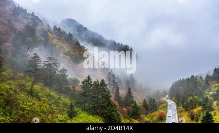 Shennongjia, Chine. 05e octobre 2020. La beauté de la forêt de Shennongjia en automne à Shennongjia, Hubei, Chine, le 05 octobre 2020.(photo de TPG/cnschotos) crédit: TopPhoto/Alamy Live News Banque D'Images
