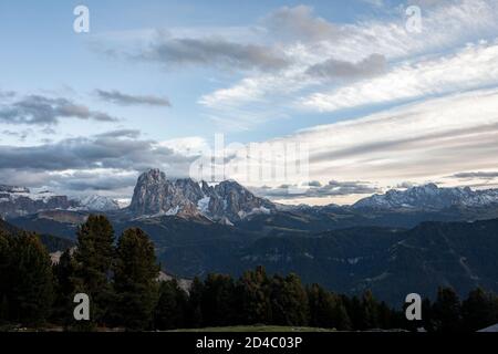 Le soir, la lumière du soleil prend sur les sommets du Groupe Langkofel dans les Dolomites, près de la ville d'Ortisei (St. Ulrich/ Urtijëi) dans le Tyrol du Sud, Italie Banque D'Images