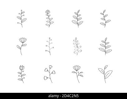 Style de contour de l'ensemble d'icônes de fleurs et de fleurs. Symboles pour le site Web, l'impression, le magazine, l'application et le design. Illustration de Vecteur