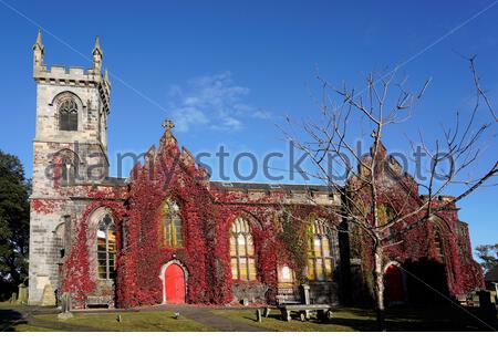 Édimbourg, Écosse, Royaume-Uni. 9 octobre 2020. Liberton Kirk resplendent avec la couleur d'automne de l'ivy rouge contrastant avec le ciel bleu du matin sur une journée claire et ensoleillée. Crédit : Craig Brown/Alay Live News Banque D'Images