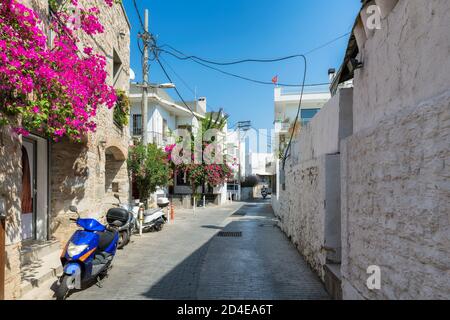 Vieille rue confortable avec des fleurs dans des maisons blanches à Bodrum, Turquie Banque D'Images