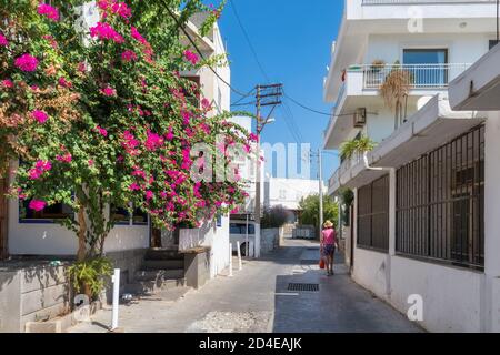 Vieille rue confortable avec des fleurs dans des maisons blanches à Bodrum, Turquie Banque D'Images