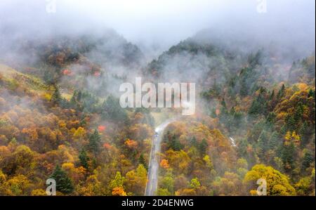 Shennongjia, Chine. 05e octobre 2020. La beauté de la forêt de Shennongjia en automne à Shennongjia, Hubei, Chine, le 05 octobre 2020.(photo par TPG/cnschotos) (photo par Top photo/Sipa USA) crédit: SIPA USA/Alay Live News Banque D'Images