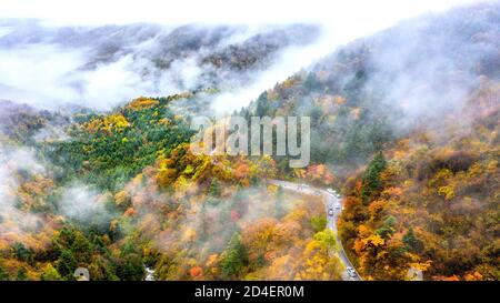 Shennongjia, Chine. 05e octobre 2020. La beauté de la forêt de Shennongjia en automne à Shennongjia, Hubei, Chine, le 05 octobre 2020.(photo par TPG/cnschotos) (photo par Top photo/Sipa USA) crédit: SIPA USA/Alay Live News Banque D'Images