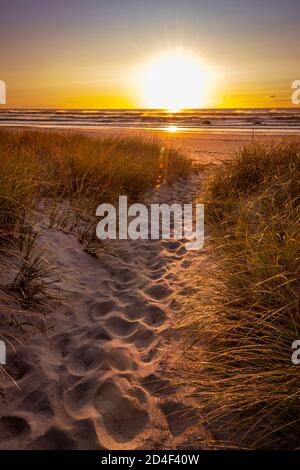 Lever de soleil avec sentier de marche et sable de dune herbe, plage de Narragansett, Rhode Island USA Banque D'Images