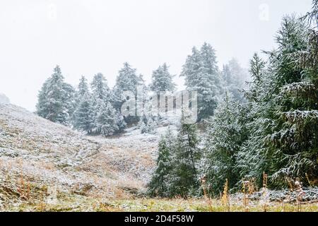 La première neige à l'automne couvre le paysage vallonné. Banque D'Images