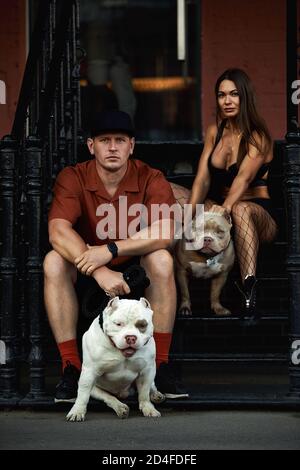 jeune homme et femme élégamment habillés avec une figure athlétique avec deux chiens intimidateurs américains assis sur les marches rues de la ville Banque D'Images