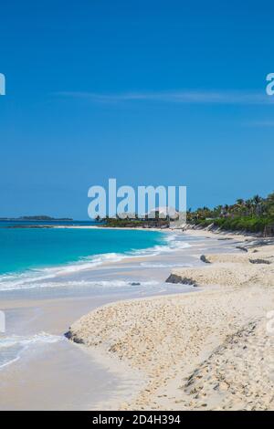 Caraïbes, Bahamas, Nassau, Paradise Island, Cabbage beach Banque D'Images