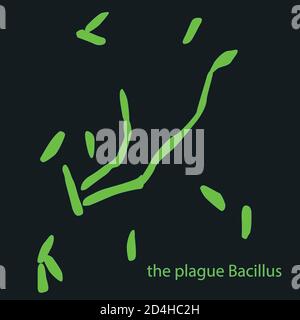 La peste Bacillus sous un microscope, la peste, les virus et les bactéries isolés sur fond noir. Bacillus anthracis, agent pathogène. En forme de tige, gramme Illustration de Vecteur