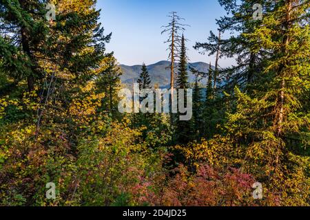 Passez le Creek Pass, Metaline Falls, Washington, État. Banque D'Images