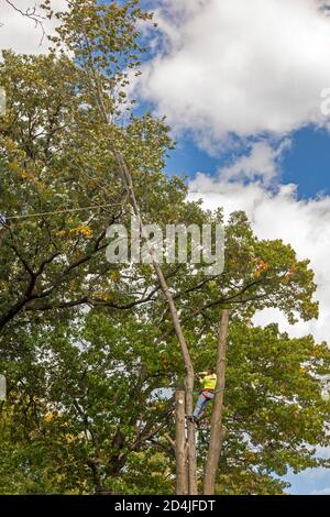 Detroit, Michigan - enlèvement d'arbres dans un quartier résidentiel. Banque D'Images