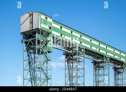 Élévateur de grain pour les grains, les graines oléagineuses et les impulsions dans une installation portuaire. Oiseaux assis sur le dessus de la structure. Vancouver, C.-B., Canada Banque D'Images