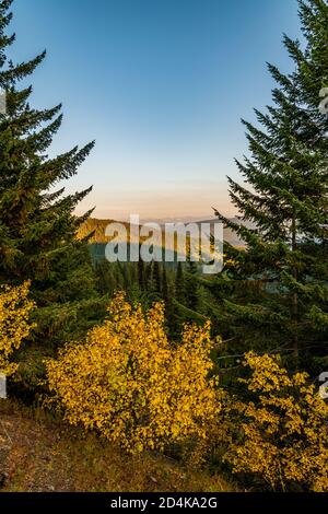 Passez le Creek Pass, Metaline Falls, Washington, État. Banque D'Images