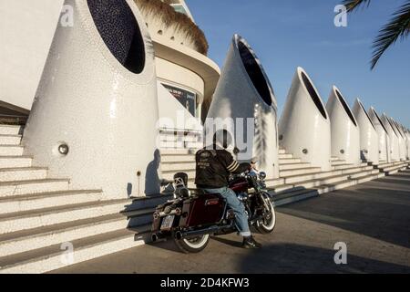 Harley Davidson motocycliste Europe Espagne Valencia Cité des Arts et des Sciences homme seul un motard Banque D'Images