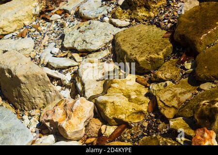 Grand serpent de mer mordant des poissons rampant parmi les rochers sur Le rivage, la plage d'Adora, le village de Topola, la côte de la mer Noire Bulgarie Banque D'Images