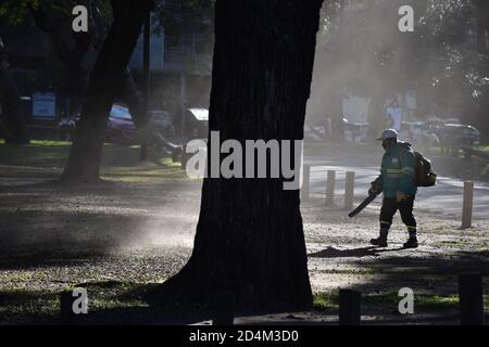 BUENOS AIRES, ARGENTINE - 29 juillet 2020 : employé de la ville travaillant avec un souffleur de feuilles dans un parc public de Buenos Aires, Argentine Banque D'Images