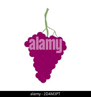Bouquet de raisins frais violet icône sur fond blanc. Illustration vectorielle de style plat Illustration de Vecteur