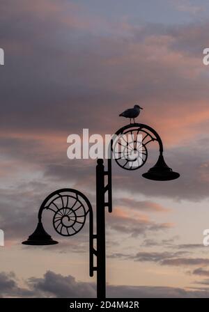 Lyme Regis, Dorset, Royaume-Uni. 9 octobre 2020. Météo au Royaume-Uni: Couleur de coucher de soleil à Lyme Regis. Un mouette perchée sur l'un des feux de rue emblématiques de la ville est silhoueté tandis que le ciel du début de la soirée brille de couleur coucher de soleil. Credit: Celia McMahon/Alamy Live News. Banque D'Images