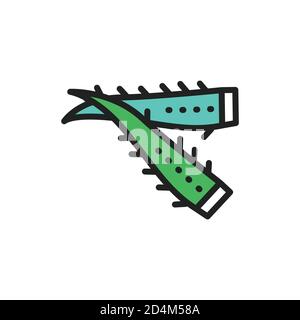 Icône de ligne de couleur d'aloès. Plante naturelle. Elément vectoriel isolé. Illustration de Vecteur