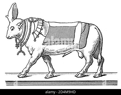 Gravure du XIXe siècle des API de dieu égyptien. Publié dans Systematischer Bilder-Atlas zum conversations-Lexikon, Ikonographische Encyklopedie der Wis Banque D'Images