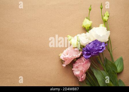 Belles fleurs d'eustoma pourpres, roses et blanches (lisianthus) en pleine fleur avec des feuilles vertes. Bouquet de fleurs sur fond de papier. Banque D'Images