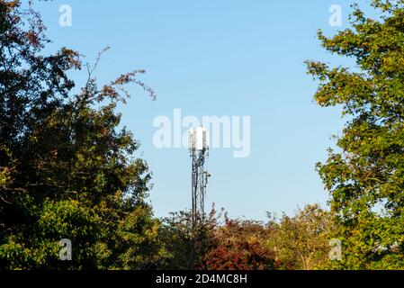 Mât de télécommunications en milieu rural. Mât de téléphone mobile à Hawkwell, Rochford, Essex, Royaume-Uni. Tour entourée d'arbres Banque D'Images