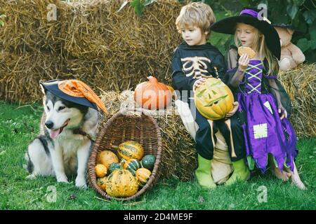 Halloween fête d'enfants dans le jardin avec des citrouilles. Joyeux fête d'Halloween pour les enfants. Halloween enfants concept de vacances. Banque D'Images